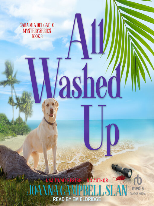 Title details for All Washed Up by Joanna Campbell Slan - Available